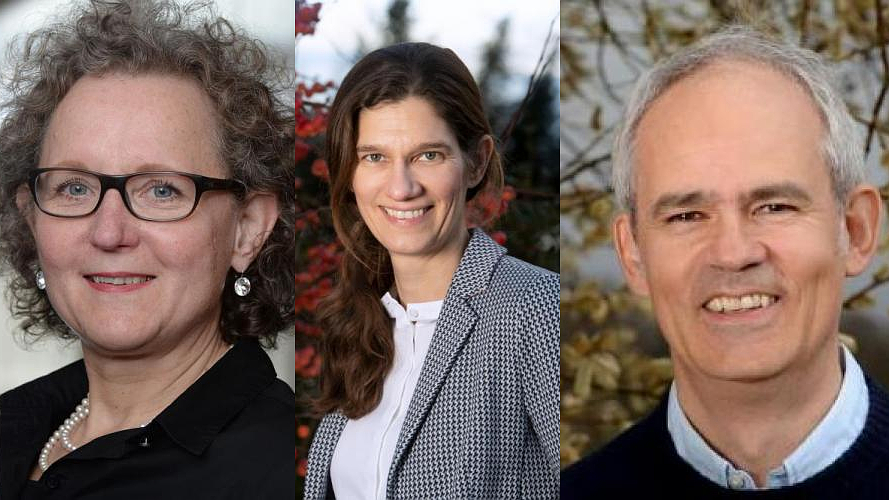 Der Klimawandel geht an unseren Gewässern nicht vorbei