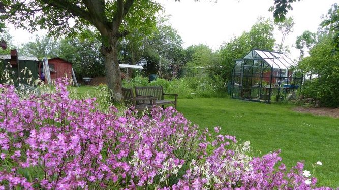 Ist Conservation Gardening Beitrag zum Erhalt der Artenvielfalt?