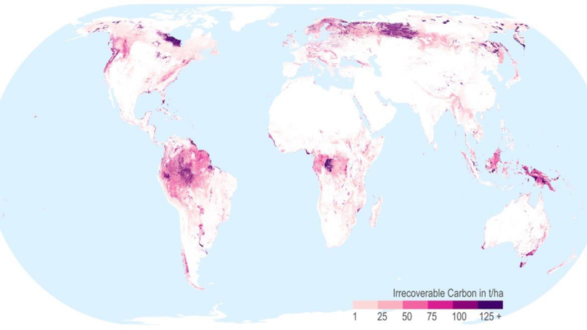 Weltkarte der wichtigsten Schutzgebiete zur Abwendung einer Klimakatastrophe