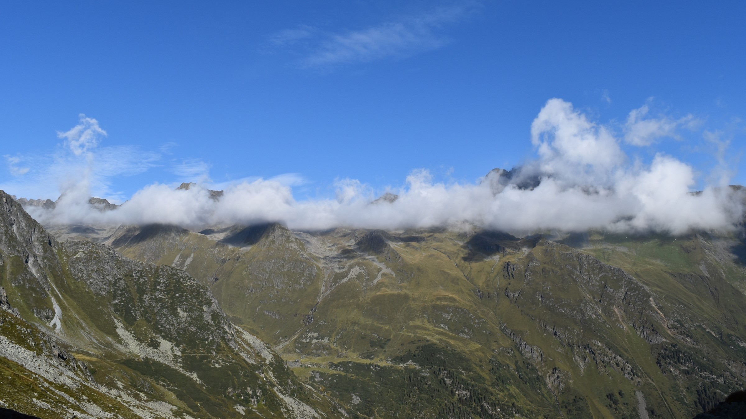 Erkennt unser Gehirn die Schönheit einer Landschaft?
