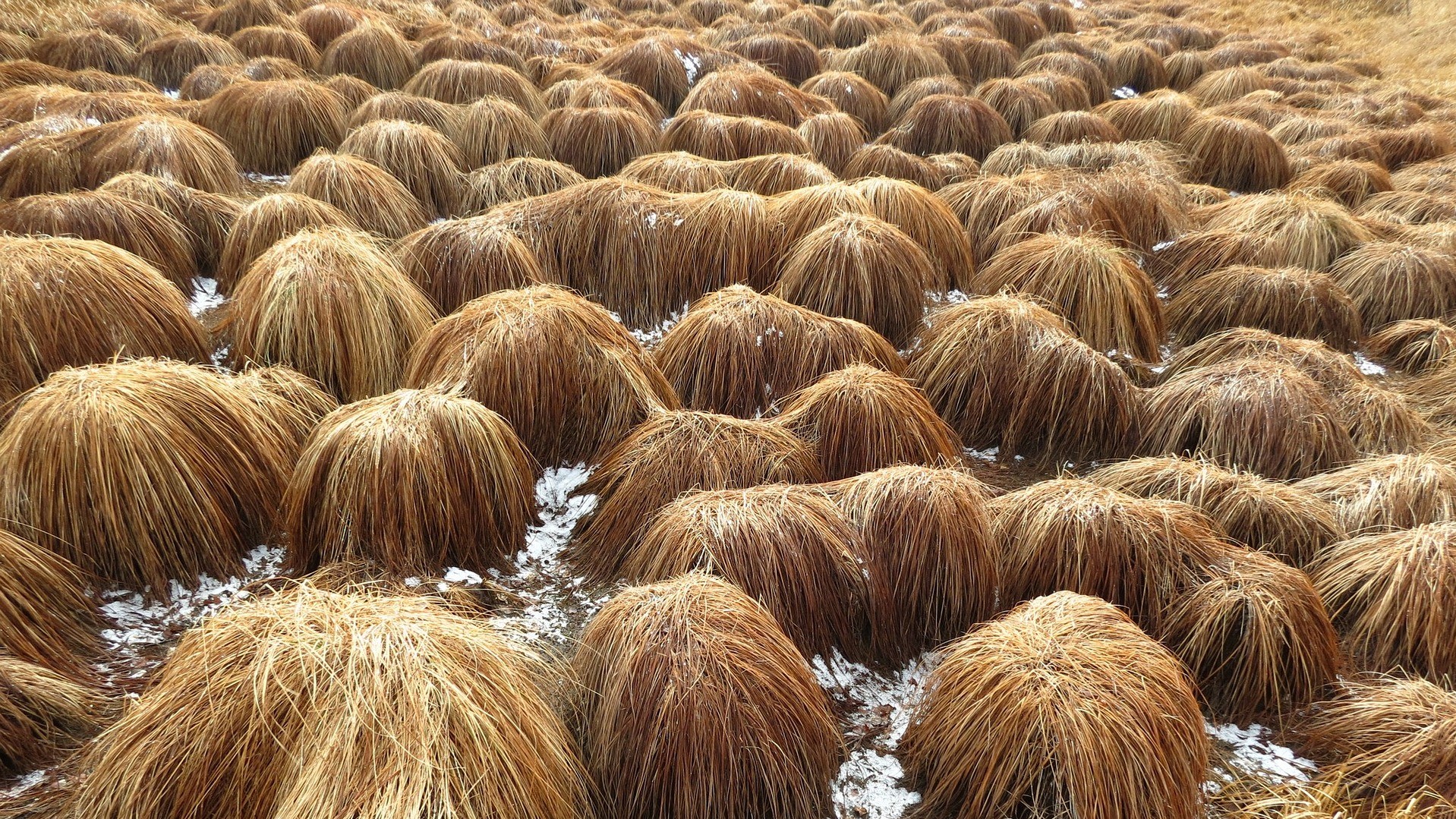 Fördert Methan aus tauendem Permafrost den Klimawandel?