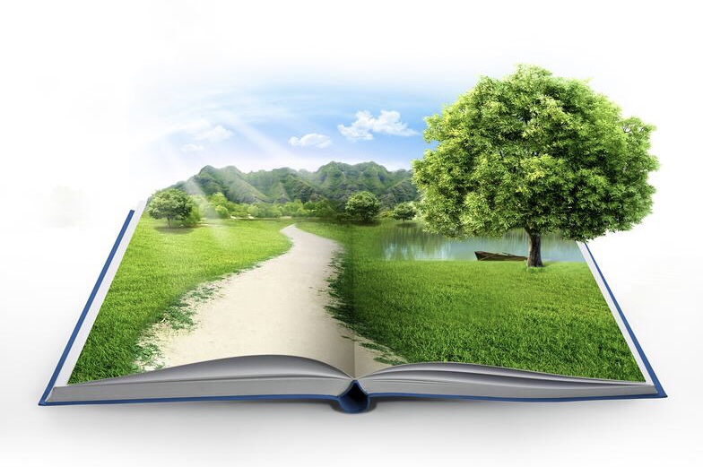 Autorinnen schreiben häufiger über die Natur als Männer