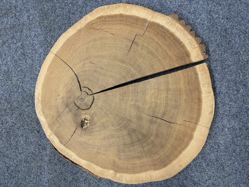 Atmosphärische Trockenheit in Europa beispiellos für die letzten 400 Jahre