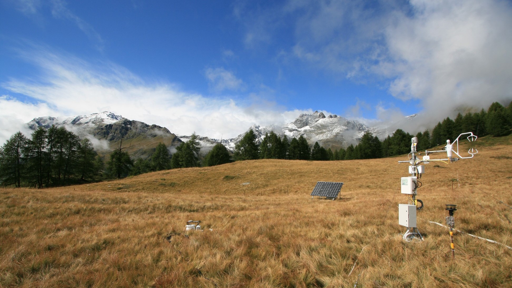 Drei Schlüsselindikatoren reichen für Urteil über Zustand eines Ökosystems