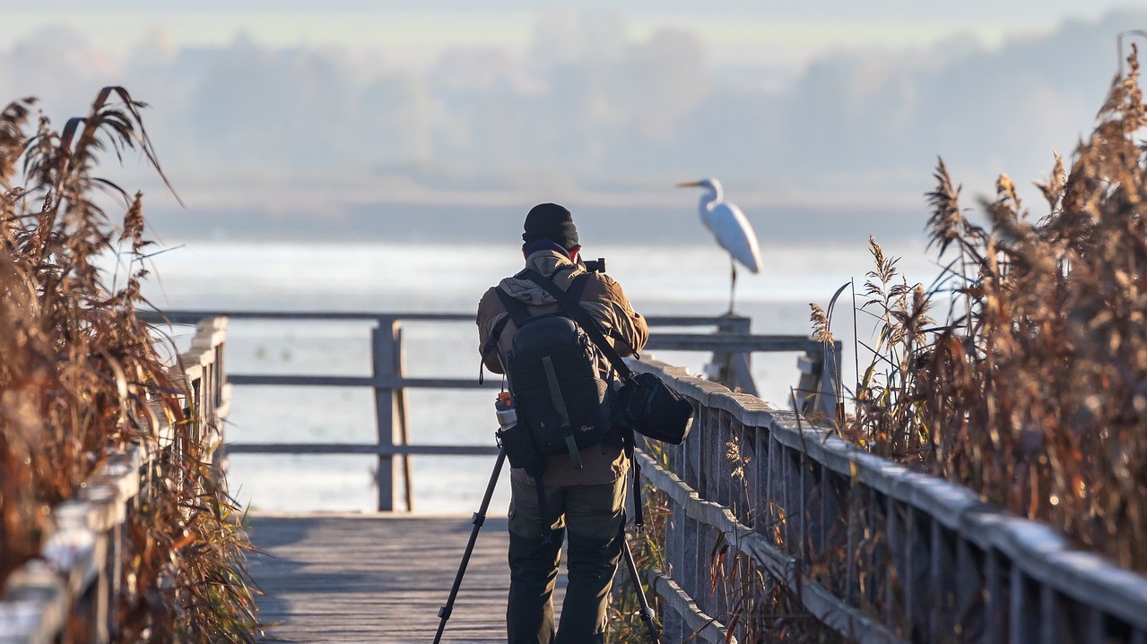 Intensität der Landnutzung gefährdet Biodiversität zu einem Viertel