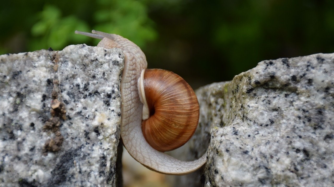 Scheuen Menschen die Kosten für Klimaschutz?